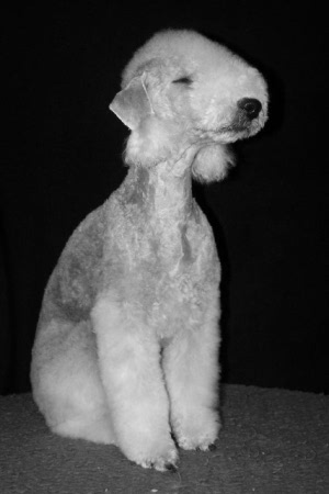 Alanna 02.03 (5).JPG